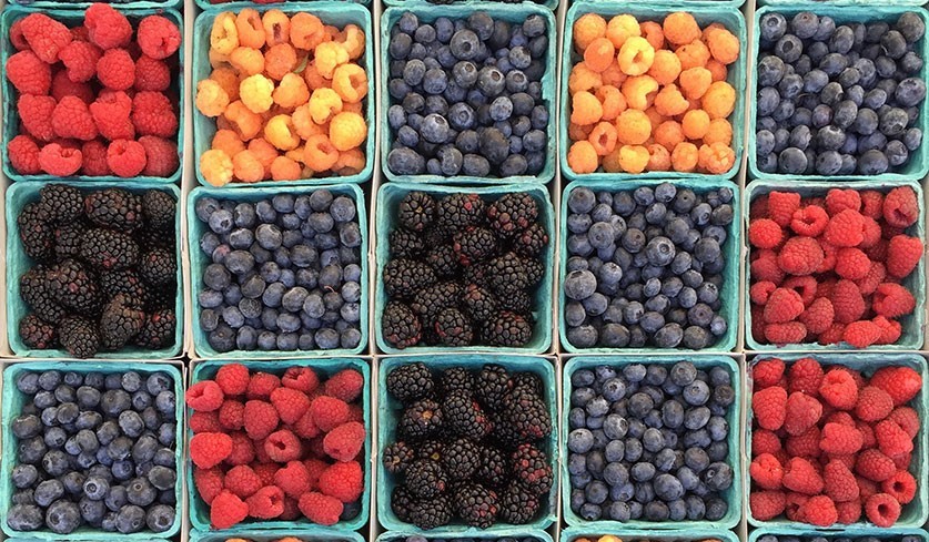 A rainbow of berries in carboard farmer's market baskets lined up in a grid showing